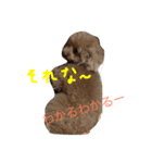 もさもさわたくん（個別スタンプ：9）