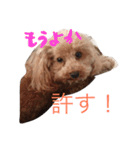 もさもさわたくん（個別スタンプ：10）