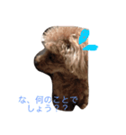 もさもさわたくん（個別スタンプ：11）