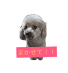 もさもさわたくん（個別スタンプ：13）