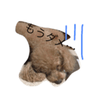 もさもさわたくん（個別スタンプ：16）