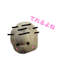 team Kome（個別スタンプ：11）