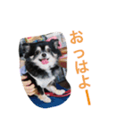 あおちゃんLIFE（個別スタンプ：1）