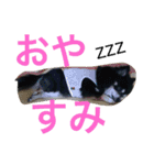 あおちゃんLIFE（個別スタンプ：2）