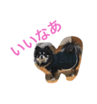 あおちゃんLIFE（個別スタンプ：7）