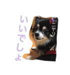 あおちゃんLIFE（個別スタンプ：8）