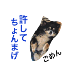 あおちゃんLIFE（個別スタンプ：10）