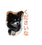 あおちゃんLIFE（個別スタンプ：11）