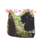 あおちゃんLIFE（個別スタンプ：12）