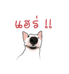 Couga（個別スタンプ：1）