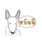 Couga（個別スタンプ：6）