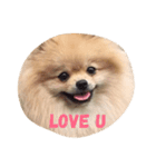 Fiji Wanna Say（個別スタンプ：2）