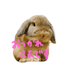 橋本むぎくん（個別スタンプ：1）