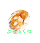うちのねむりねこ（個別スタンプ：12）