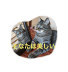 うちのねむりねこ（個別スタンプ：22）