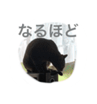 うちのねむりねこ（個別スタンプ：26）