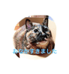 うちのねむりねこ（個別スタンプ：30）