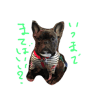 パグのミランダ、フレブルサマンサ（個別スタンプ：4）