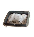 yurumiruku（個別スタンプ：1）