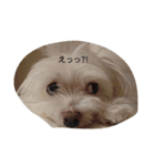 yurumiruku（個別スタンプ：8）