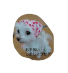 yurumiruku（個別スタンプ：11）