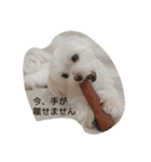 yurumiruku（個別スタンプ：16）