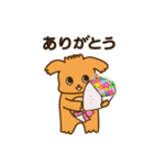 ぽめ犬（個別スタンプ：17）