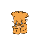 ぽめ犬（個別スタンプ：22）