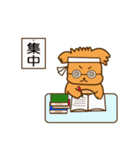 ぽめ犬（個別スタンプ：37）