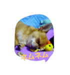 I love Dog  moko（個別スタンプ：2）