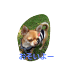 I love Dog  moko（個別スタンプ：6）