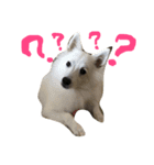 ゆきそら（個別スタンプ：1）
