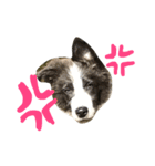 ゆきそら（個別スタンプ：10）