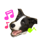 ゆきそら（個別スタンプ：15）