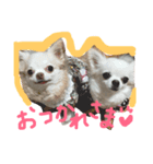 ロカ＆ルカ（個別スタンプ：1）