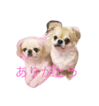 ターボとひめ（個別スタンプ：4）