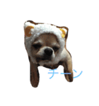ターボとひめ（個別スタンプ：7）