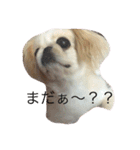 ターボとひめ（個別スタンプ：10）
