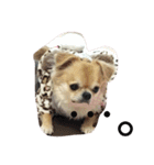 ターボとひめ（個別スタンプ：18）