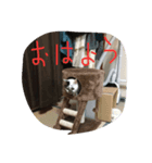 メイ子（個別スタンプ：1）