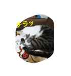 メイ子（個別スタンプ：3）