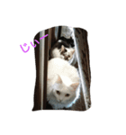 メイ子（個別スタンプ：7）