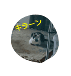 メイ子（個別スタンプ：8）