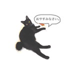 黒猫あずき（個別スタンプ：2）
