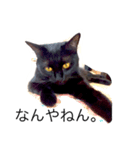 黒猫あずき（個別スタンプ：5）