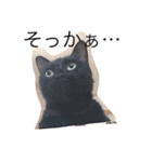 黒猫あずき（個別スタンプ：6）