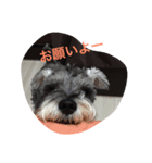 くるーくのつぶやき（個別スタンプ：4）