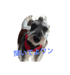 くるーくのつぶやき（個別スタンプ：8）