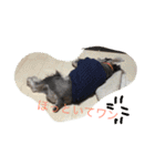 くるーくのつぶやき2（個別スタンプ：2）