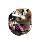 スフィンクスの心 猫の気持ち 日常的な会話（個別スタンプ：21）
